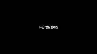 14남 반모방/초반환영/반모다받음요/설참