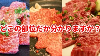 【焼肉好きなら知っておくべき】カルビ・ロース・ハラミの違いについて徹底解説！