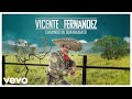 Vicente Fernández - Camino de Guanajuato (Mix 2023 [Video Lyrics])