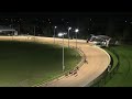 cannington 22042020 race 8