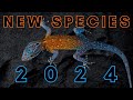 Newly Discovered in 2024 - 25 New Species