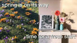 spring is almost here💐🌷 - an edinburgh vlog