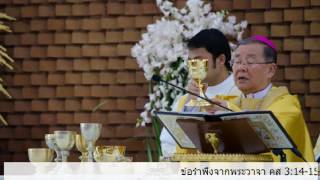 ข้อรำพึงจากพระวาจา คส 3:14-15,17,23-24 ,มธ 13:54-58   โดย พระคุณเจ้าหลุยส์ จำเนียร สันติสุขนิรันดร์