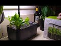 final for now thoughts on the ahopegarden intelligent planter