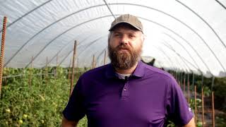 Tomato and Pepper Variety Trials