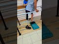 transfemoral amputee rehab shorts prosthesis bilateralamputee gait