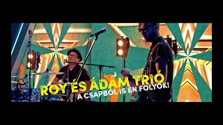 Roy és Ádám Trió: A csapból is én folyok (LIVE - 2021)