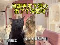 当跟男友下狠心做了个决定时 情侣 情侣日常 猫咪表情包