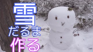 【金剛山】年末最後の雪だるま大作戦