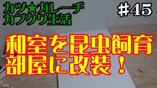 【カブトムシ・クワガタ】和室をカブクワ用昆虫飼育部屋に改装する！「カツ★ガレーヂカブクワ生活#45」