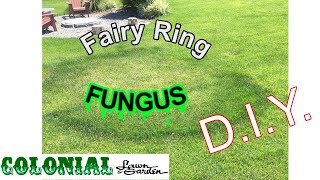 DIY FAIRY RING TREATMENT - LAWN DISEASE