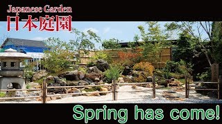 (Pro.1 - Ex. 2) Spring has come! 春が来た！【日本庭園】