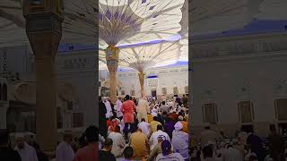 مسجد نبوی ریاض الجنہ #history #riazuljannah #vlog #visitmadina #voiceeffects #urdu #riyazuljannah