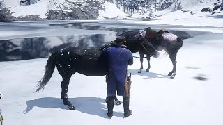 Arthur catch a best horse Black Snowflake - Rdr2 Gameplay.