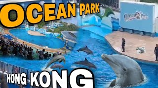 HONG KONG OCEAN PARK | 4K-HDR |DOLPHIN SHOW🐬 #oceanpark #hongkong