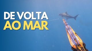 Hunter's Pesca Sub - Pesca Sub no Mar do Nordeste - Spearfishing in the Northeast Sea