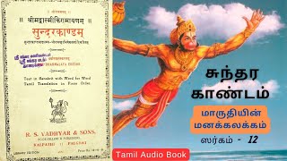 ஸ்ரீ சுந்தர காண்டம் | Sargam 12 | சீதையை காணாது கலக்கமுற்ற ஹனுமார் | Tamil Bhakti Audio Book