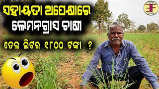 Lemon Grass Farming in Odisha ( ଲେମନଗ୍ରାସ ଘାସ ଚାଷ ) . ଚିନ୍ତାରେ ଚାଷୀ .