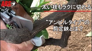 太い枝がラクに切れる剪定鋏_アンビル剪定鋏ブイエー(VA)_【ARS】