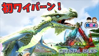 初クリスタルワイバーン！テイムにかなり時間がかかった夫婦de【ARK:ASEクリスタルアイルズ】#5