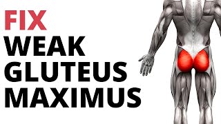 5 Strengthening Exercises For Weak Gluteus Maximus (NO SQUATS!)