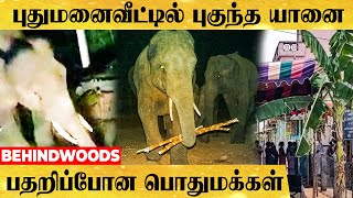 புது வீட்டுக்கு வந்த யானை கூட்டம்..கோவையில் நள்ளிரவில் நடந்த உச்சக்கட்ட பரபரப்பு