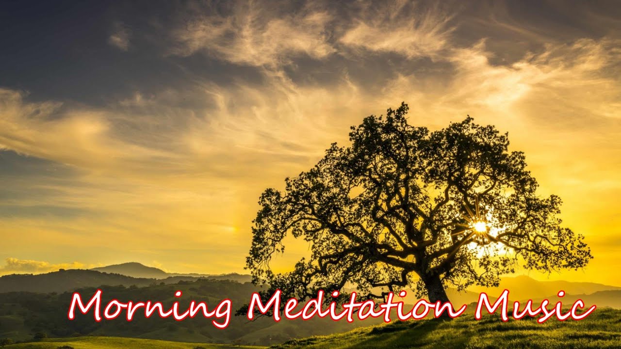 Morning Relaxing Music For Positive Energy Beautiful Piano Music