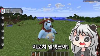 야생에서 이로치 포켓몬이!? 겁나 신기한 마크 포켓몬 모드