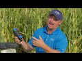 insidepti s1•e61 dribble nitrogen study