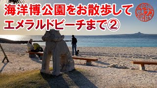 【国営沖縄記念公園】海洋博公園をお散歩してエメラルドビーチまで②