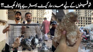 Karachi Second big Peigeon Market Sunday saddar impress kabotar Market Latest update 1/12/2024