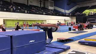 Arina our Baby Level 7 Vault Gasparilla 2021