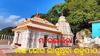 ମା ଭଟ୍ଟାରିକା ଶକ୍ତିପୀଠ || ଆସନ୍ତୁ ବୁଲିଯିବା ||