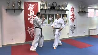 WFKO  Low kick   kumite Shihan Alexei Gorokhov  Lesson 2