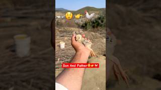 Son And Father🐥👉🐓| Incredible Transition😲#shorts #rooster #chicks #viralvideo