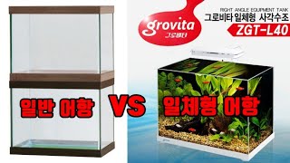 일체형어항 vs 일반어항 장단점 설명