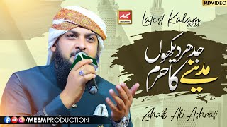 Jidhar Dekhoon Madine Ka Haram Ho | Zohaib Ashrafi | New Kalam 2023 | Meem Production