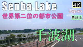 4K【千波湖・水戸】世界第二位の都市公園をドライブ　 Senba Lake