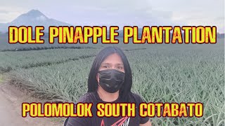 DOLE PHILIPPINES | LARGEST PINEAPPLE PLANTATION | BRGY. POLO | POLOMOLOK SOUTH COTABATO