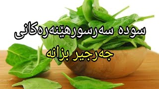 سودەکانی جەرجیر بزانە