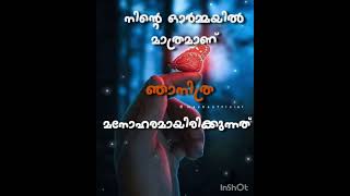 എന്തിനു നിൻ നൊമ്പരമിനിയും.. എന്തിന് നിൻ നോവുകൾ ഇനിയും..