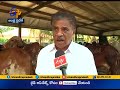 jaikisan ap 26th sep 17 west godavari farmer protecting indigenous cattle breeds