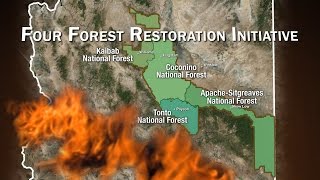 An Epic Response to the Wildfire Threat