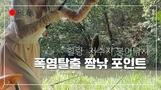 #붕어낚시 ep. 경산저수지 탐방낚시, 무더위를 날려줄 오지 계곡지 붕어낚시   #피싱메이비 #민물낚시 #저수지낚시 #탐방낚시 #경산저수지 #힐링낚시  #부부낚시