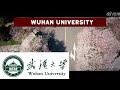 Season of Cherry Blossoms at Wuhan University