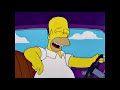 homer is gay