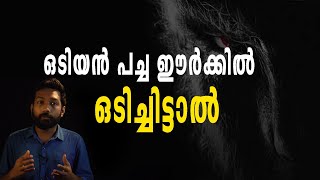 അദൃശ്യനായി ഇരയുടെ മുന്നിലെത്തുന്ന ഒടിയൻ മന്ത്രം ചൊല്ലി പച്ച ഈർക്കിൽ ഒടിച്ചിട്ടാൽ | ODIYAN REAL STORY