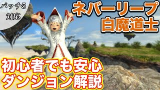 【FF14】ネバーリープを白魔道士(ヒーラー)で挑戦【レベル60ダンジョン パッチ5対応】