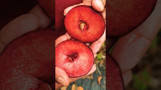 ഭംഗി കണ്ടാൽ  ആരും നോക്കിനിന്നുപോകും...പക്ഷെ 😍😍😍😍#fruitcutting #fruit