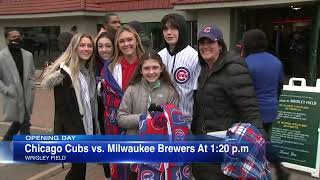 What's new at Wrigley Field this year for Chicago Cubs fans?